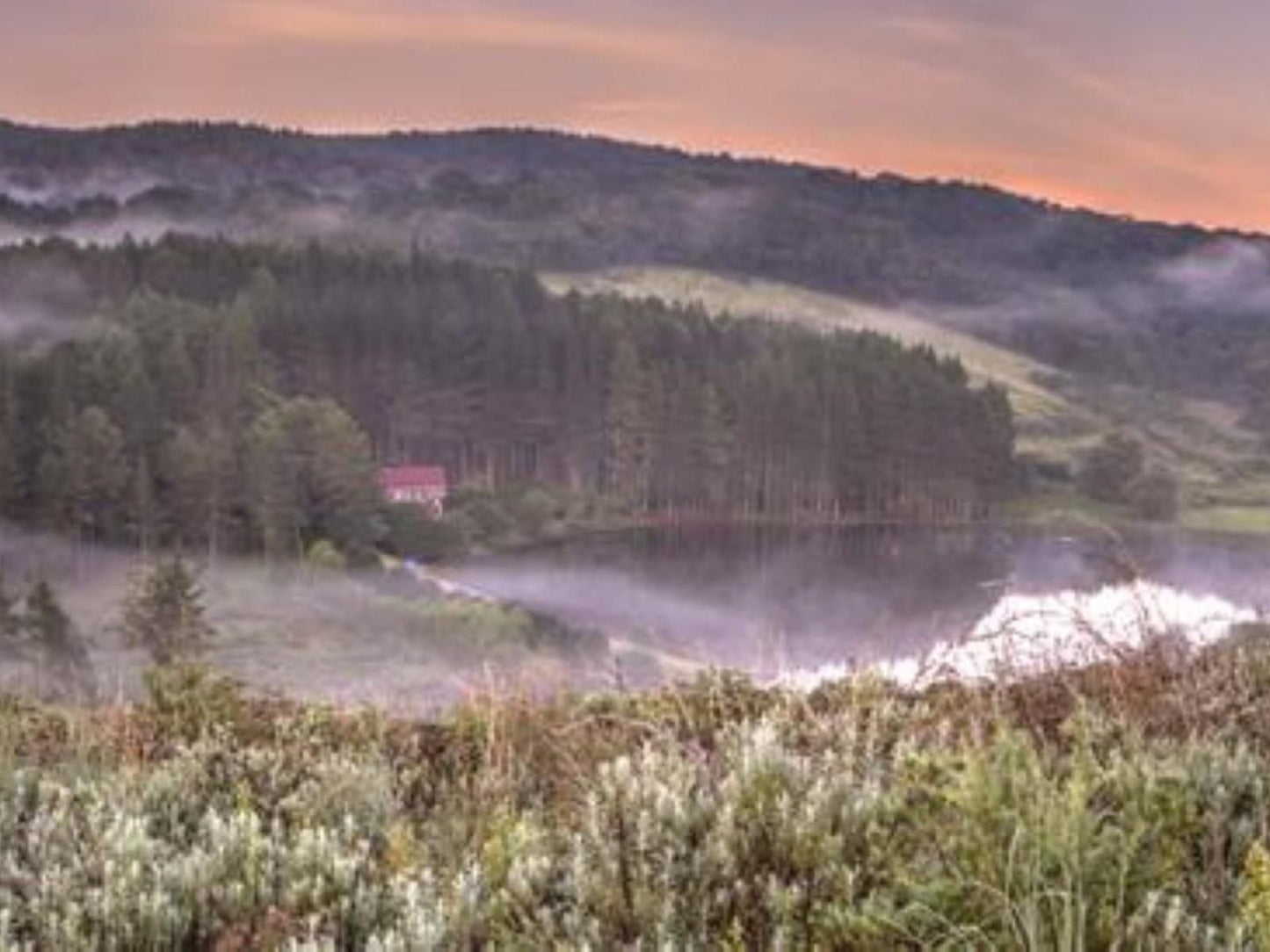 Pavetta Country House Magoebaskloof Limpopo Province South Africa Highland, Nature