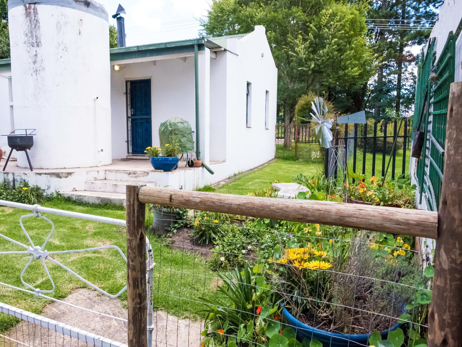 Peace Corner, House, Building, Architecture, Garden, Nature, Plant