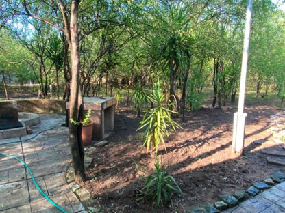 Peace Of Marloth, Plant, Nature, Tree, Wood, Garden