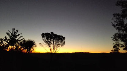 Peace Of Paradise Summerpride East London Eastern Cape South Africa Palm Tree, Plant, Nature, Wood, Silhouette, Sky, Framing, Sunset