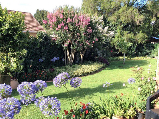 Peaceful Garden Cottage Wingate Park Pretoria Tshwane Gauteng South Africa House, Building, Architecture, Plant, Nature, Garden