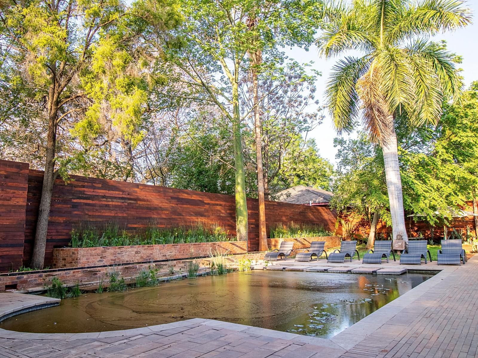 The Doors Inn Guesthouse Mokopane Potgietersrus Limpopo Province South Africa Palm Tree, Plant, Nature, Wood, Garden, Swimming Pool