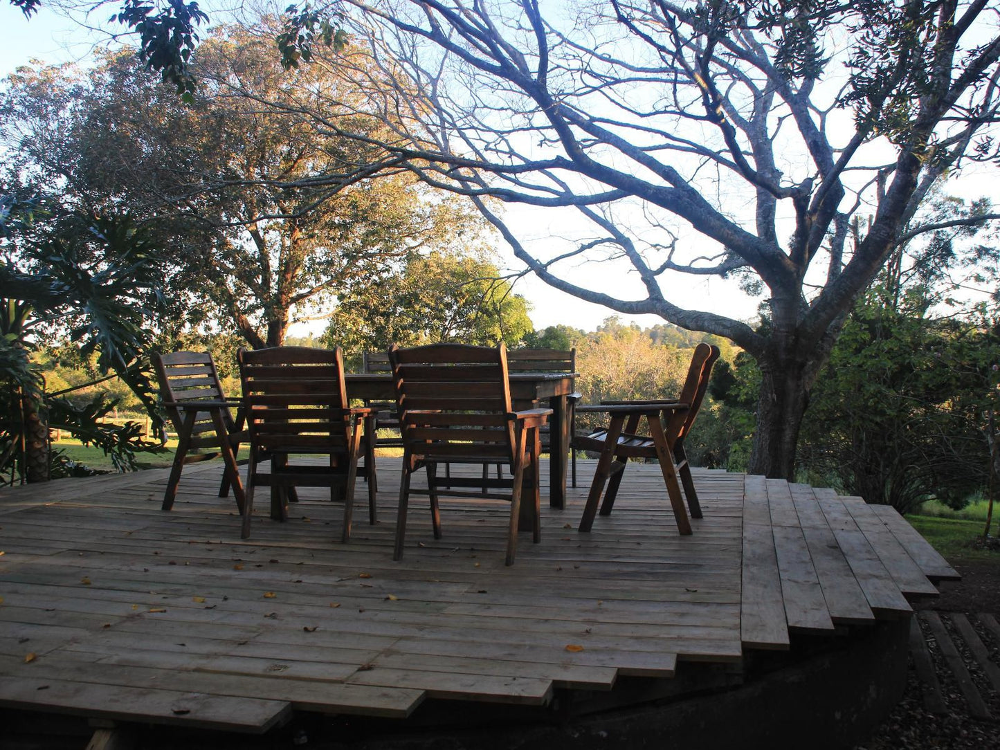 Peace Of Eden Vegan Nature Lodge Phantom Acres Knysna Western Cape South Africa 