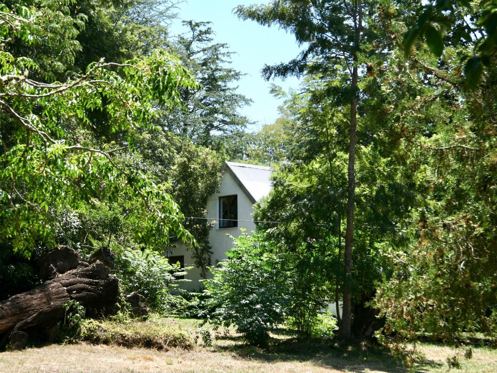 Peace Of Eden Vegan Nature Lodge Phantom Acres Knysna Western Cape South Africa House, Building, Architecture, Tree, Plant, Nature, Wood