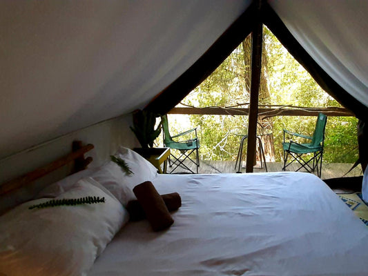 Deep Forest Tent @ Peace Of Eden, Vegan Nature Lodge