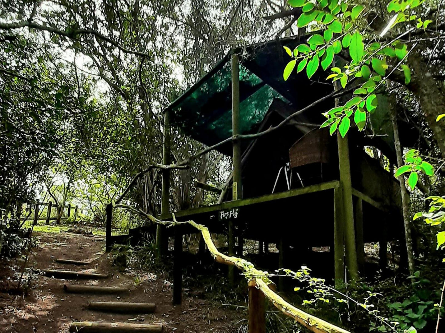 Firefly Forest Tent @ Peace Of Eden, Vegan Nature Lodge