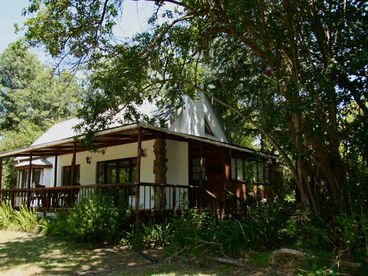 Forest Getaway - Spacious Cottage @ Peace Of Eden, Vegan Nature Lodge