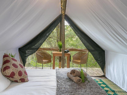 Morning Star Forest Tent @ Peace Of Eden, Vegan Nature Lodge