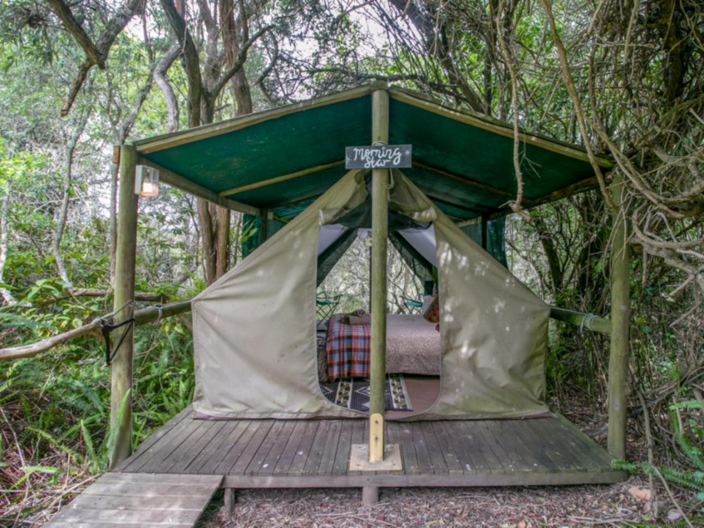 Morning Star Forest Tent @ Peace Of Eden, Vegan Nature Lodge