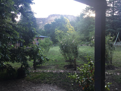 Peach Trees Clarens Free State South Africa Unsaturated, Tree, Plant, Nature, Wood, Garden