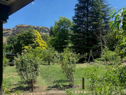 Peach Trees Clarens Free State South Africa Tree, Plant, Nature, Wood