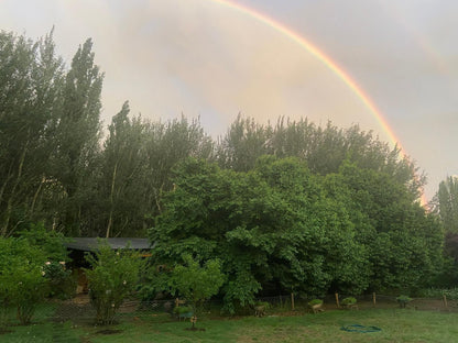 Peach Trees Clarens Free State South Africa Rainbow, Nature