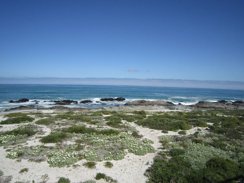 Pearl Bay Yzerfontein Western Cape South Africa Beach, Nature, Sand, Ocean, Waters