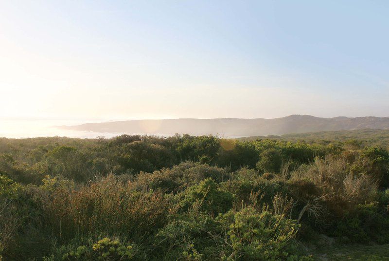 Pebble Beach Manor Grotto Bay Western Cape South Africa Nature