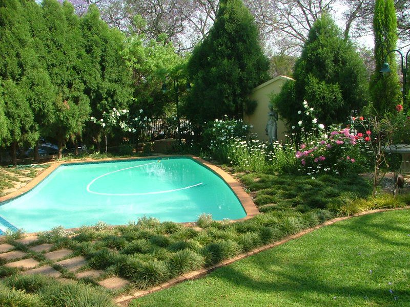 Pebble Fountain Guest House Brooklyn Pretoria Tshwane Gauteng South Africa Garden, Nature, Plant, Swimming Pool