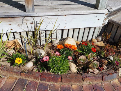 Pebbles & Sunsets, Plant, Nature