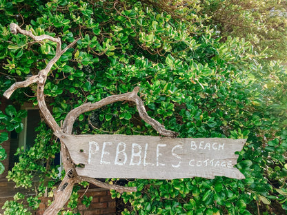 Pebbles Beach Cottage Schoenmakerskop Port Elizabeth Eastern Cape South Africa Beach, Nature, Sand, Reptile, Animal, Sign