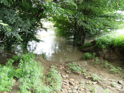 Pecan Grove Bed And Breakfast Frankfort Free State South Africa Forest, Nature, Plant, Tree, Wood, River, Waters