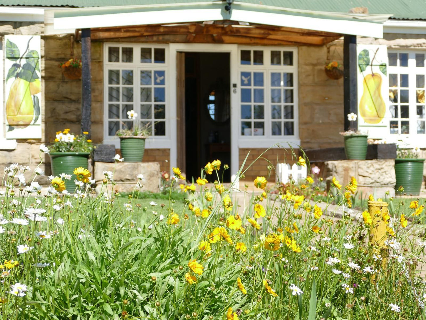 Peerboom Guesthouse, House, Building, Architecture, Garden, Nature, Plant