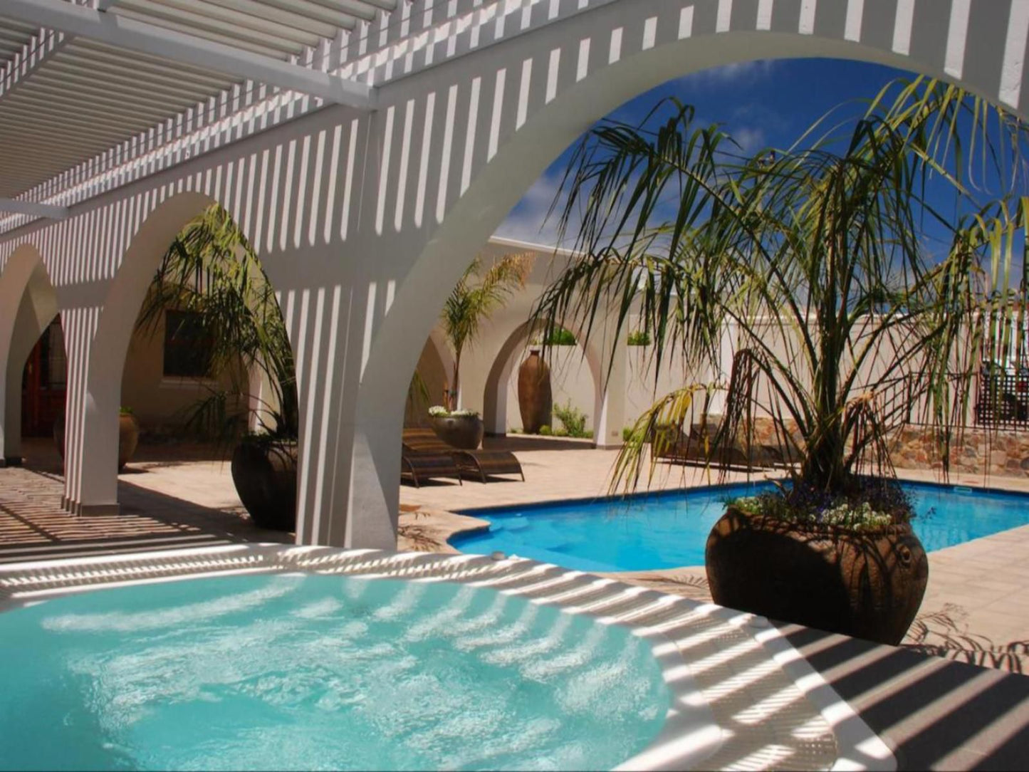 Pelagus House Hermanus Western Cape South Africa Palm Tree, Plant, Nature, Wood, Swimming Pool