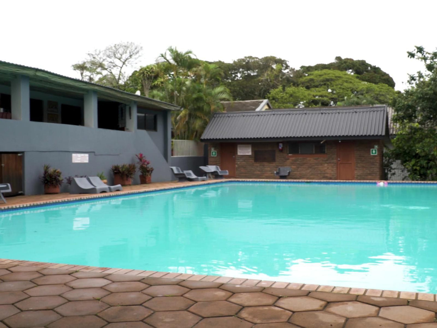 Pelicans Pad St Lucia St Lucia Kwazulu Natal South Africa House, Building, Architecture, Palm Tree, Plant, Nature, Wood, Swimming Pool