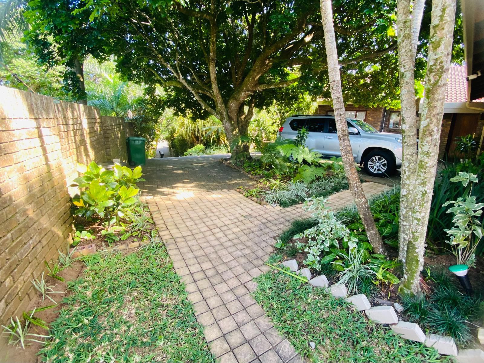 Pelican'S Nest Holiday Home St Lucia, Palm Tree, Plant, Nature, Wood, Garden