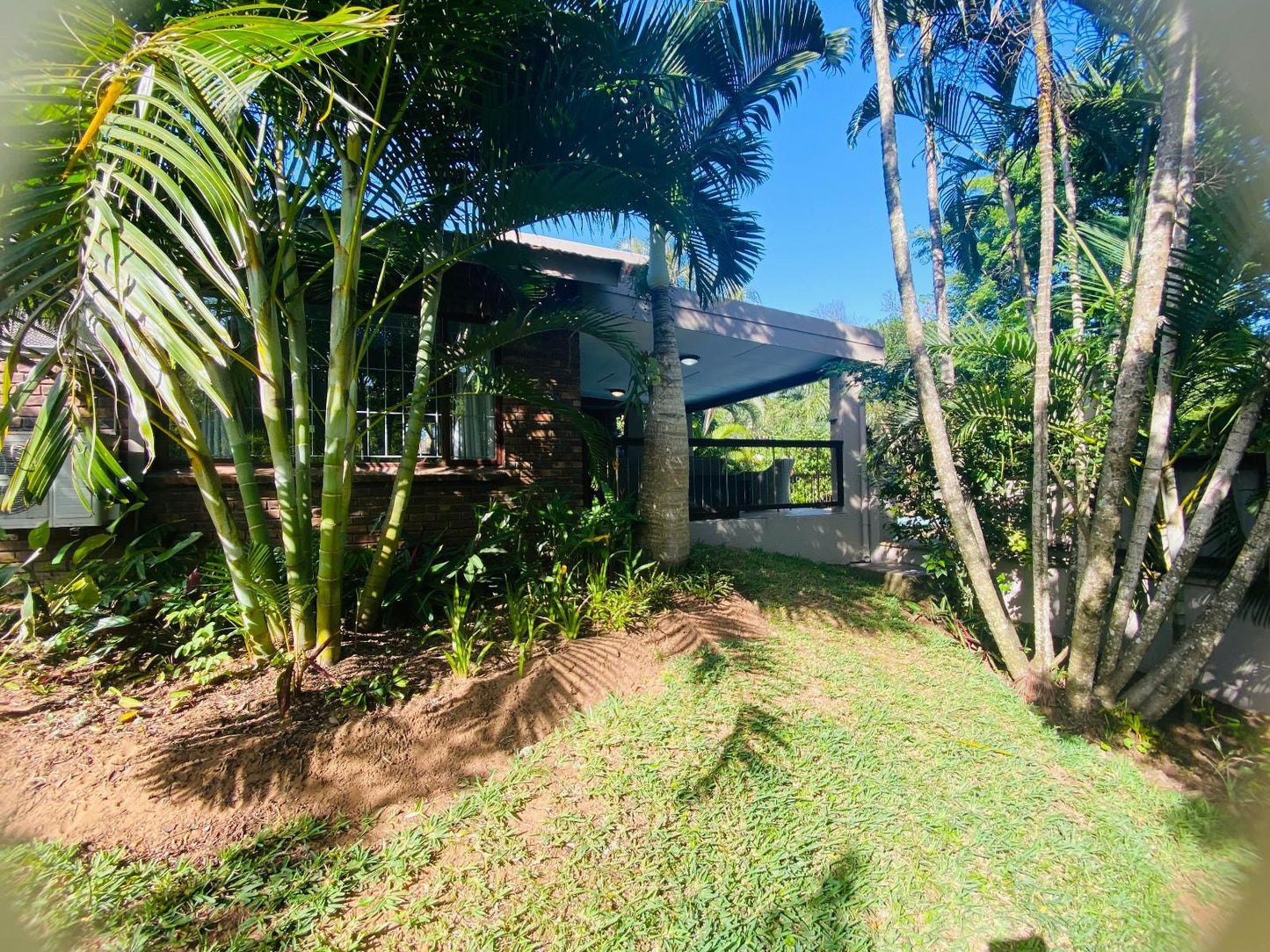 Pelican'S Nest Holiday Home St Lucia, Palm Tree, Plant, Nature, Wood