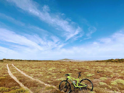 Pelicans' View, Colorful, Bicycle, Vehicle, Cycling, Sport, Mountain Bike, Funsport