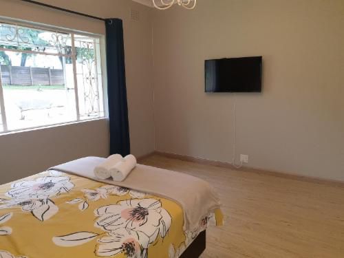 Pendennis Hillcrest Durban Kwazulu Natal South Africa Cat, Mammal, Animal, Pet, Bedroom