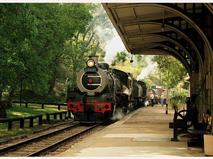 Pendennis Hillcrest Durban Kwazulu Natal South Africa Train, Vehicle, Railroad, Steam Train