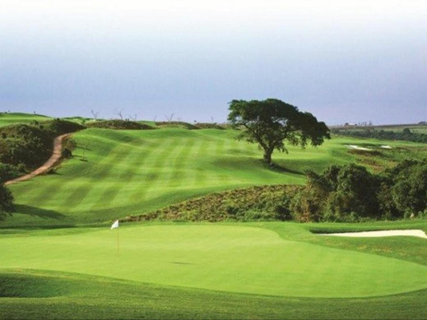Pendennis Hillcrest Durban Kwazulu Natal South Africa Complementary Colors, Ball Game, Sport, Golfing, Nature