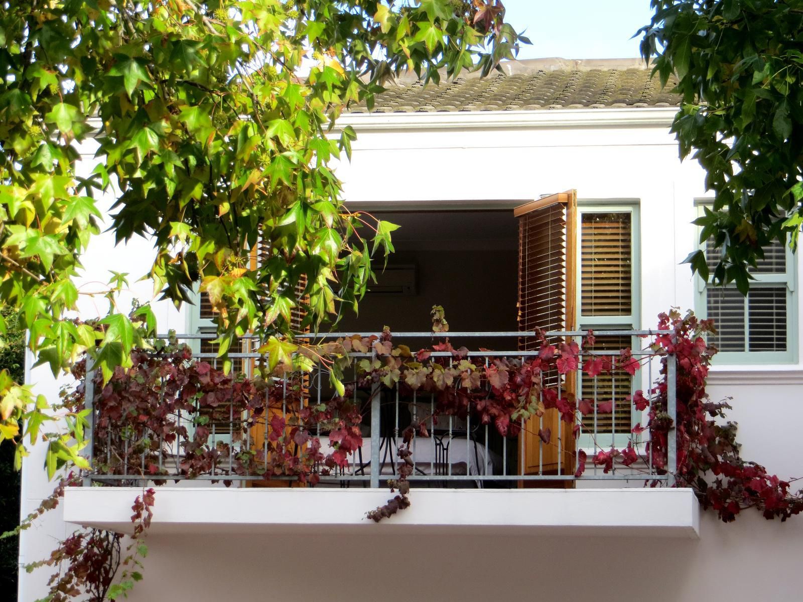 Penelope S Stellenbosch Stellenbosch Western Cape South Africa Balcony, Architecture, House, Building, Plant, Nature