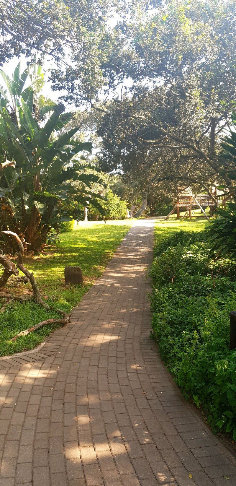 Pennington Villa Little Paradise Pennington Kwazulu Natal South Africa Palm Tree, Plant, Nature, Wood, Tree, Garden