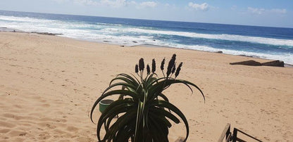 Pennington Villa Little Paradise Pennington Kwazulu Natal South Africa Complementary Colors, Beach, Nature, Sand, Palm Tree, Plant, Wood, Ocean, Waters