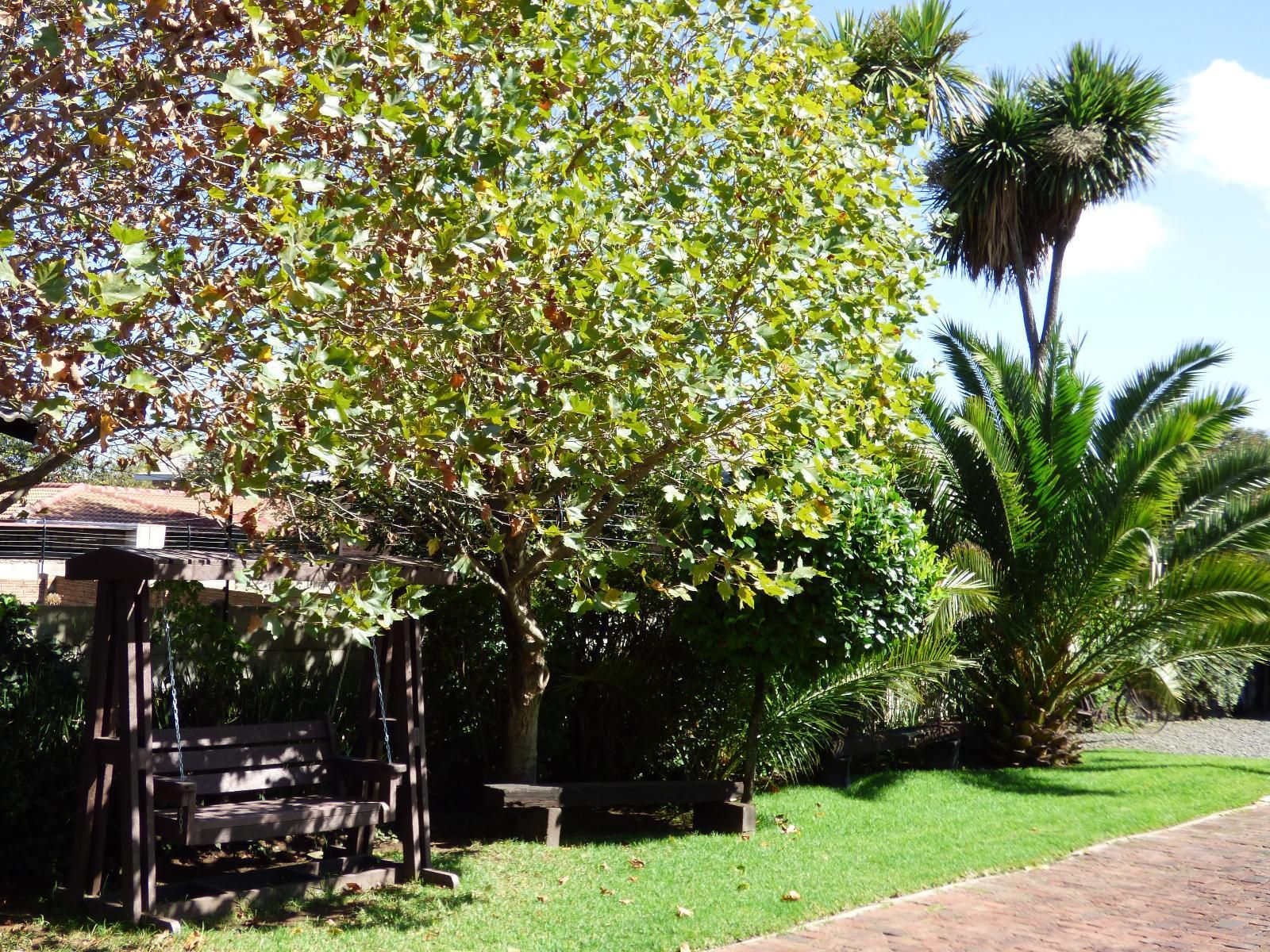 Pennylane Guest House Ermelo Mpumalanga South Africa Palm Tree, Plant, Nature, Wood, Garden
