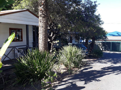 Penny Lane Lodge Somerset West Western Cape South Africa House, Building, Architecture, Palm Tree, Plant, Nature, Wood