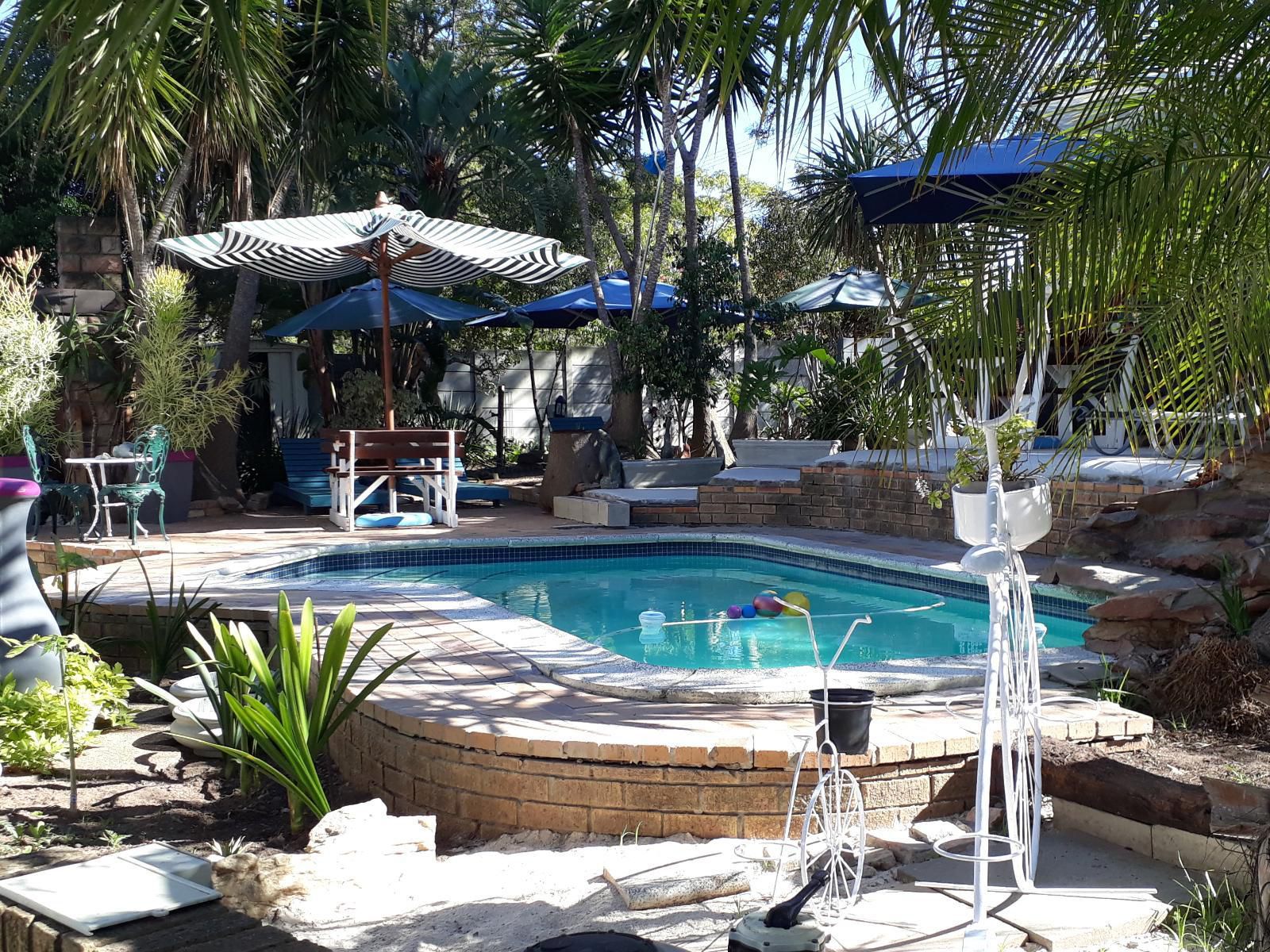 Penny Lane Lodge Somerset West Western Cape South Africa Palm Tree, Plant, Nature, Wood, Swimming Pool