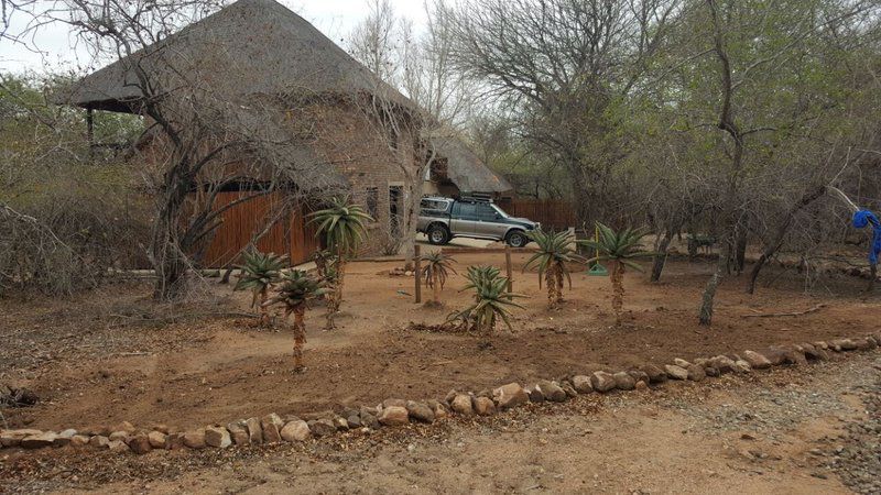 Penny Lane Marloth Park Marloth Park Mpumalanga South Africa Desert, Nature, Sand