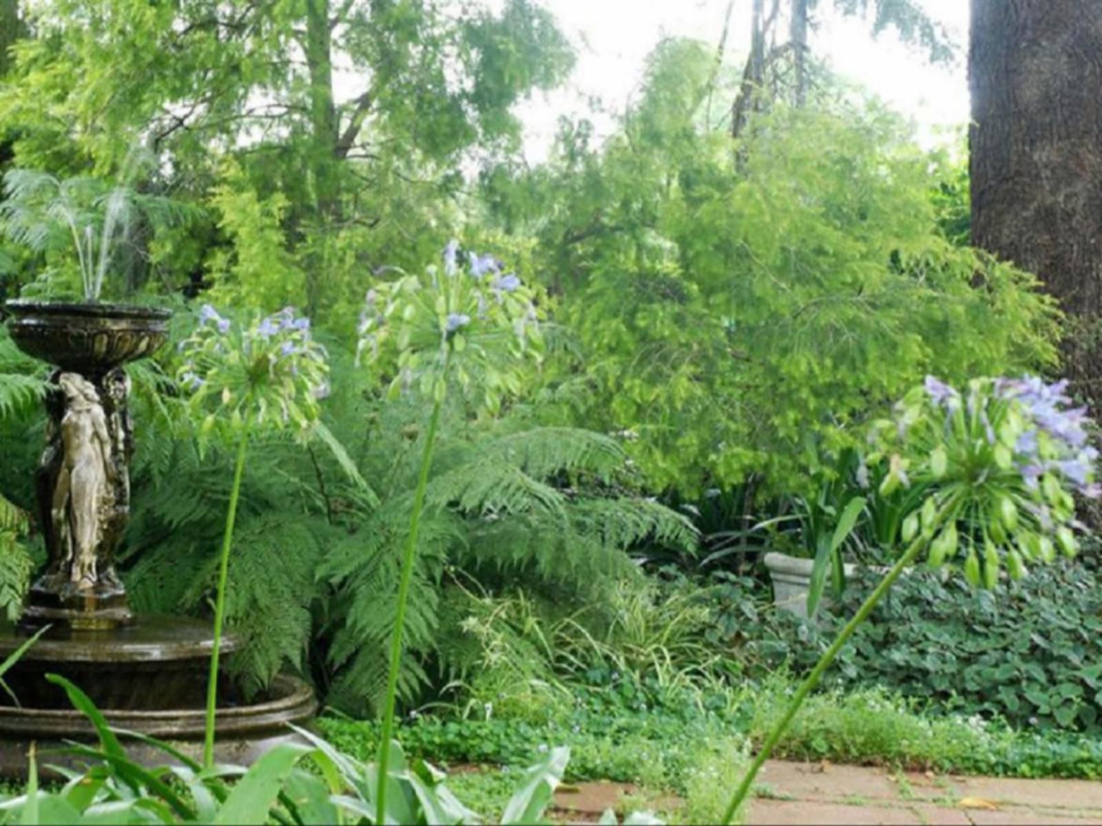 Penryn Dundee Kwazulu Natal South Africa Plant, Nature, Tree, Wood, Garden