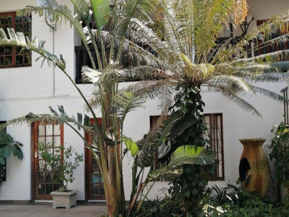 Pensao Guest Lodge Sonheuwel Nelspruit Mpumalanga South Africa House, Building, Architecture, Palm Tree, Plant, Nature, Wood, Garden