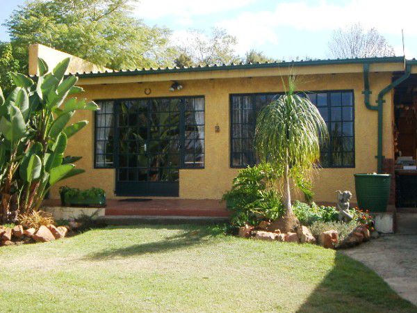 Pension Gecko Northcliff Johannesburg Gauteng South Africa House, Building, Architecture, Palm Tree, Plant, Nature, Wood