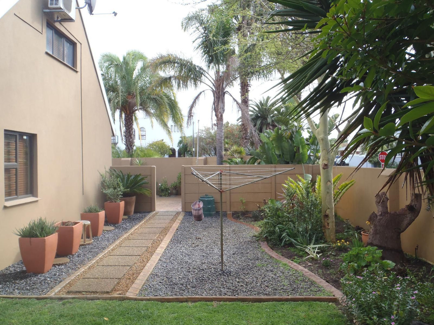 Pentzhaven Guesthouse, Palm Tree, Plant, Nature, Wood, Garden