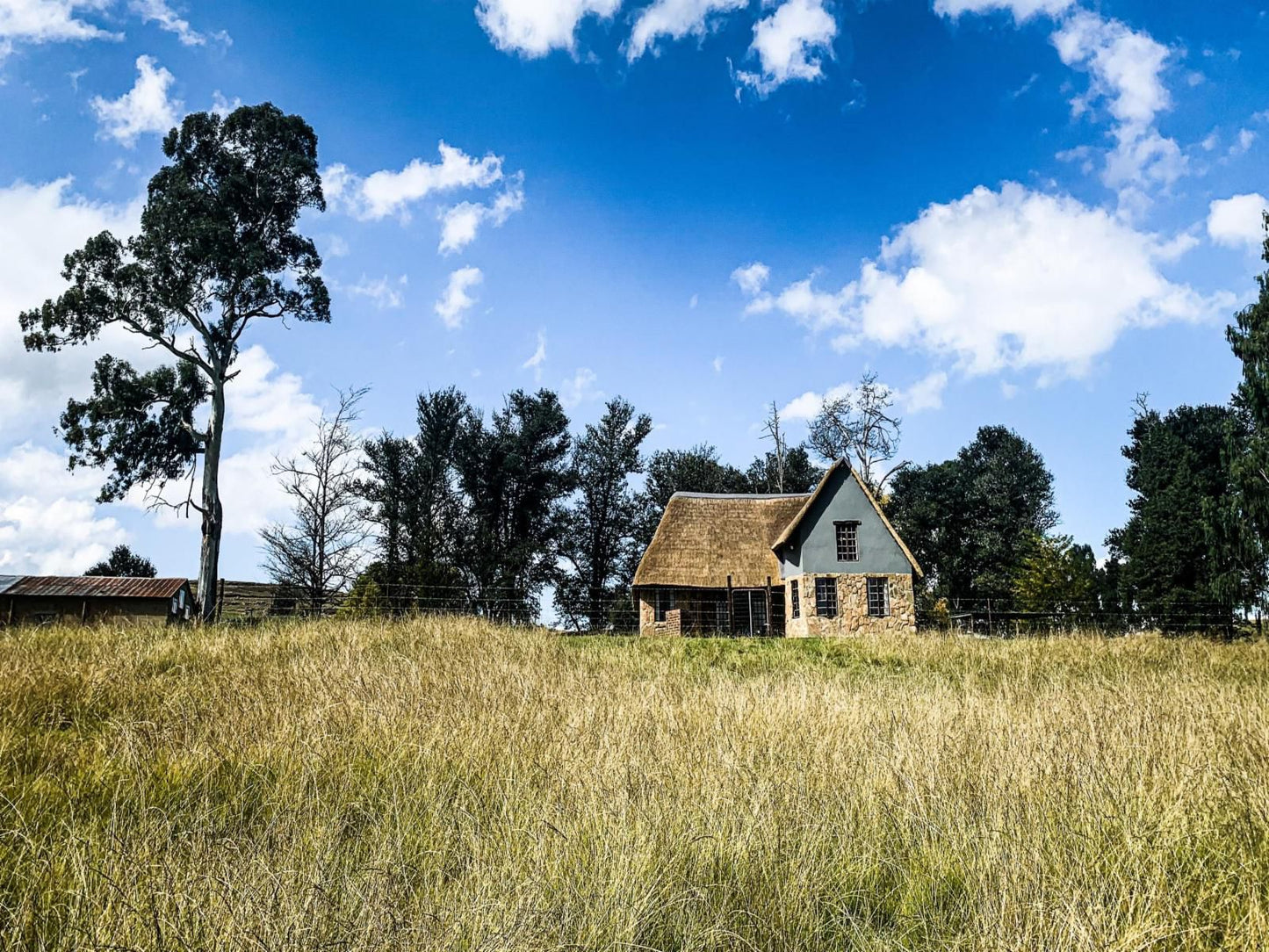 Penwarn Farm Lodge Underberg Kwazulu Natal South Africa Complementary Colors, Barn, Building, Architecture, Agriculture, Wood, Lowland, Nature