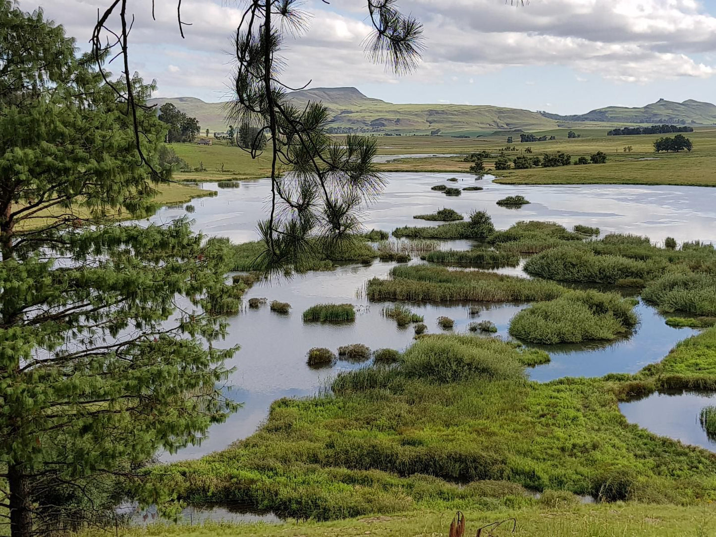 Penwarn Farm Lodge Underberg Kwazulu Natal South Africa Nature