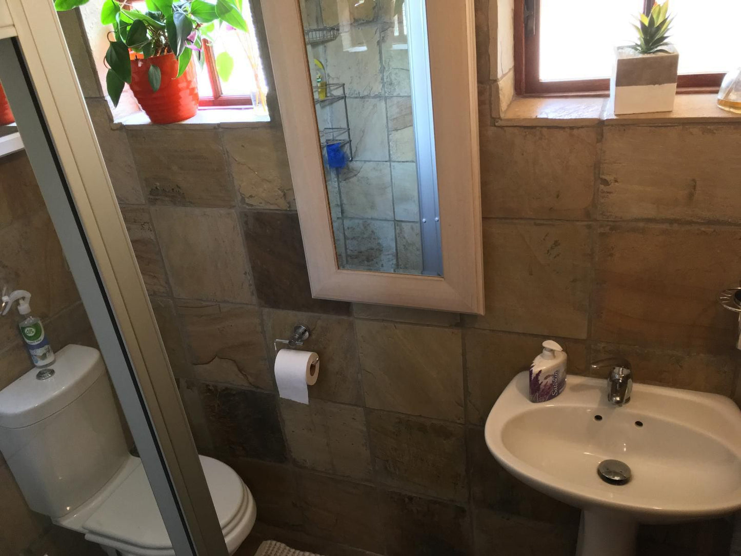 Pepper Tree Bnb Bryanston Johannesburg Gauteng South Africa Bathroom