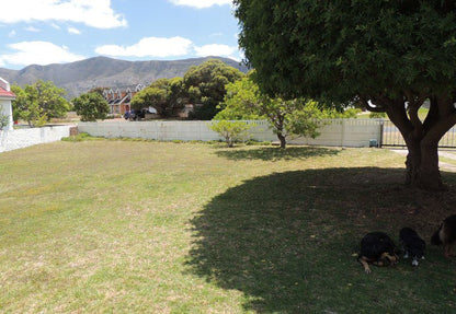 Pepper Tree Cottage Sandbaai Hermanus Western Cape South Africa Dog, Mammal, Animal, Pet