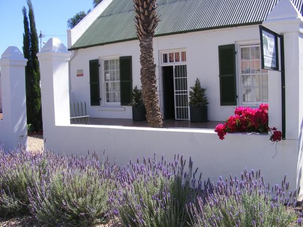 Pepper Tree Cottage Beaufort West Western Cape South Africa House, Building, Architecture, Garden, Nature, Plant