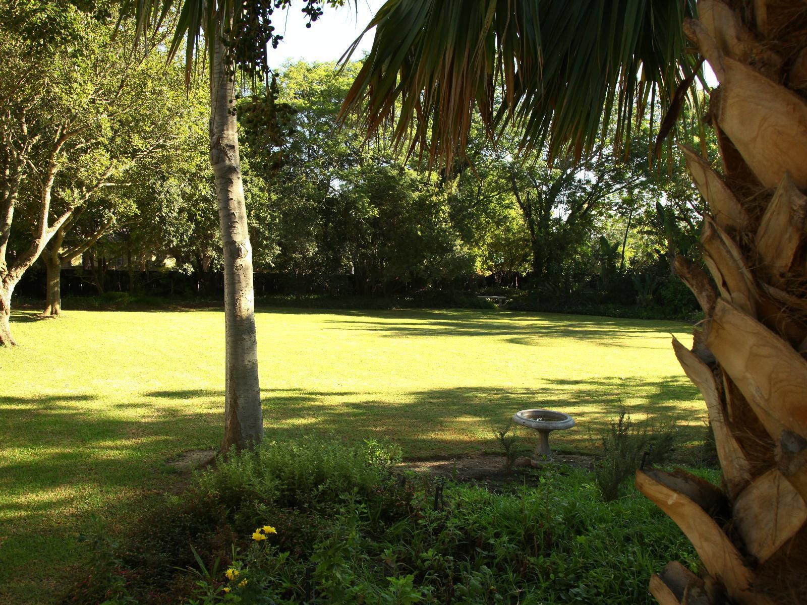 Peppertree House Bandb And Self Catering Fort Beaufort Eastern Cape South Africa Palm Tree, Plant, Nature, Wood, Garden