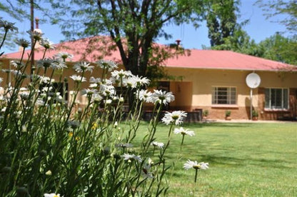 Perdeberg Guest Farm Trompsburg Free State South Africa House, Building, Architecture, Plant, Nature, Garden