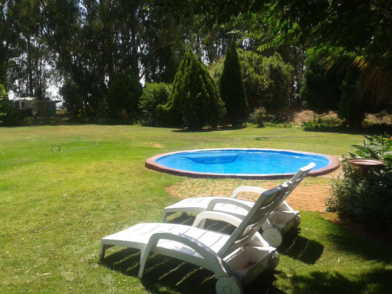 Perdehoek Venue Lichtenburg North West Province South Africa Garden, Nature, Plant, Swimming Pool